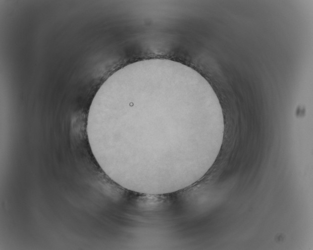 X0000094450672200712061202