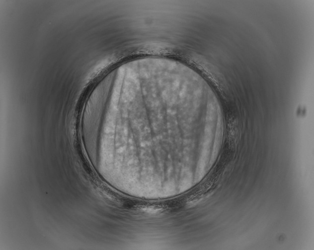 X0000094450679200712061201