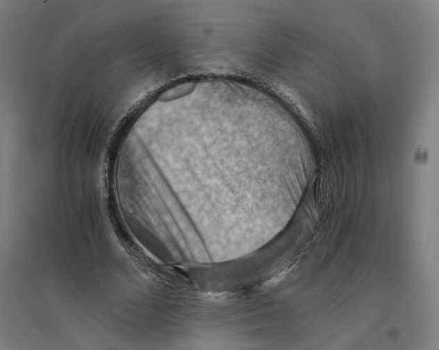 X0000094450680200712061201