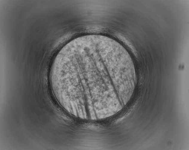 X0000094450681200712061201