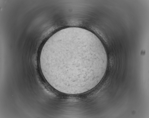 X0000094450682200712061201