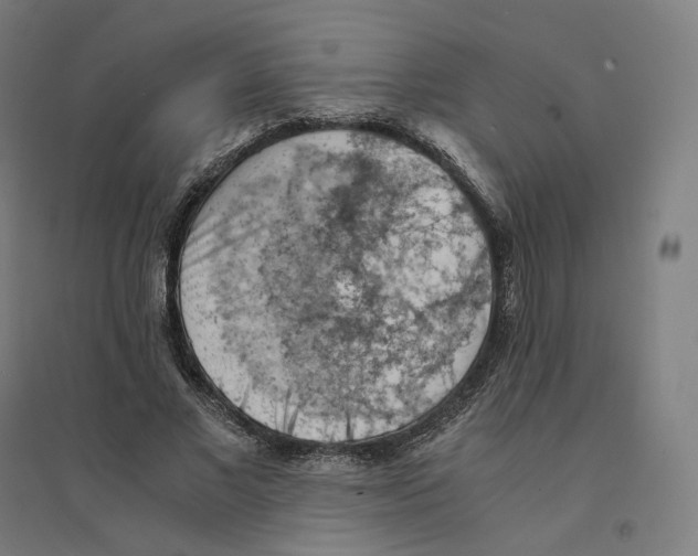 X0000094450685200712061201