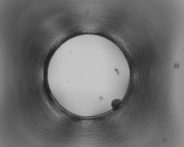 X0000094450686200712061201