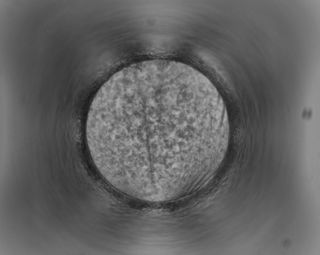 X0000094450689200712061201