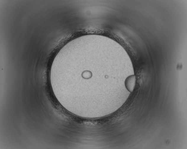 X0000094450690200712061201