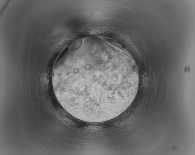 X0000094450691200712061201