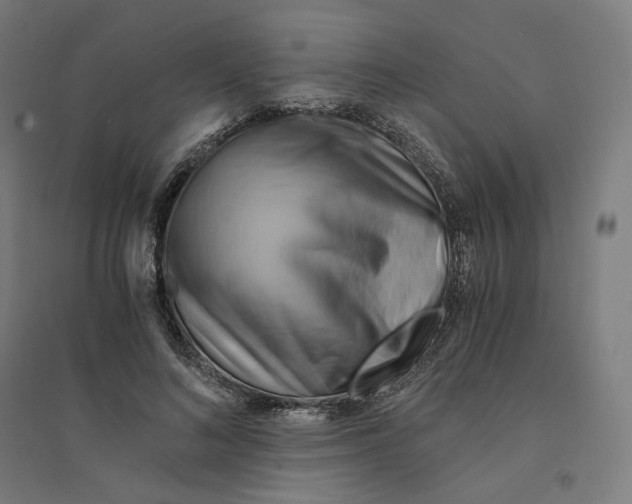 X0000094450692200712061201