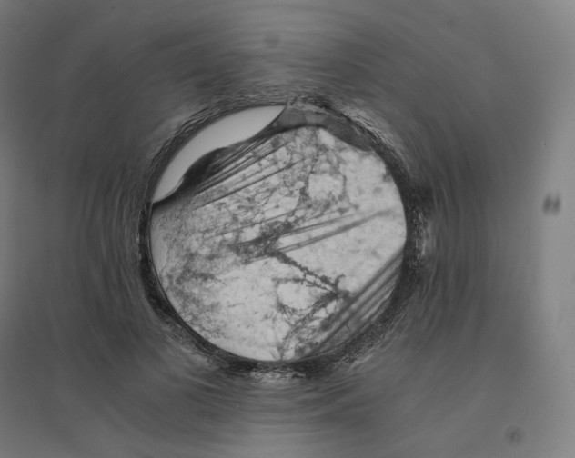 X0000094450693200712061201