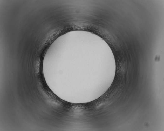 X0000094450694200712061201