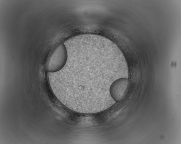 X0000094450695200712061201