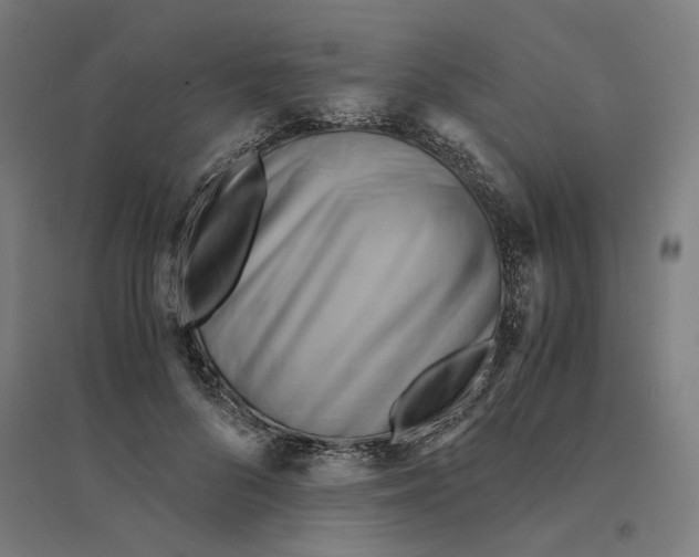 X0000094450696200712061201