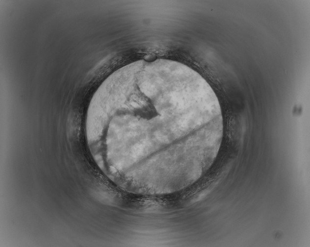 X0000094450697200712061201