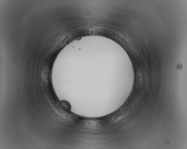 X0000094450698200712061200