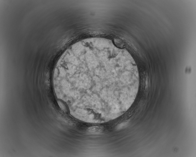 X0000094450700200712061200