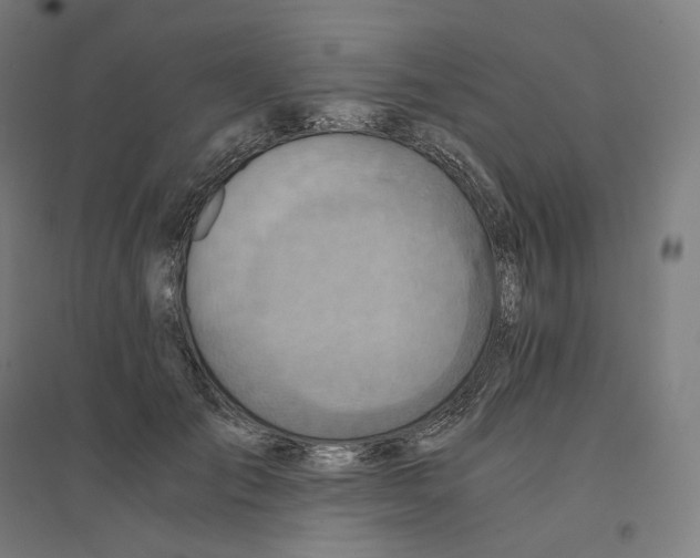 X0000094450701200712061200