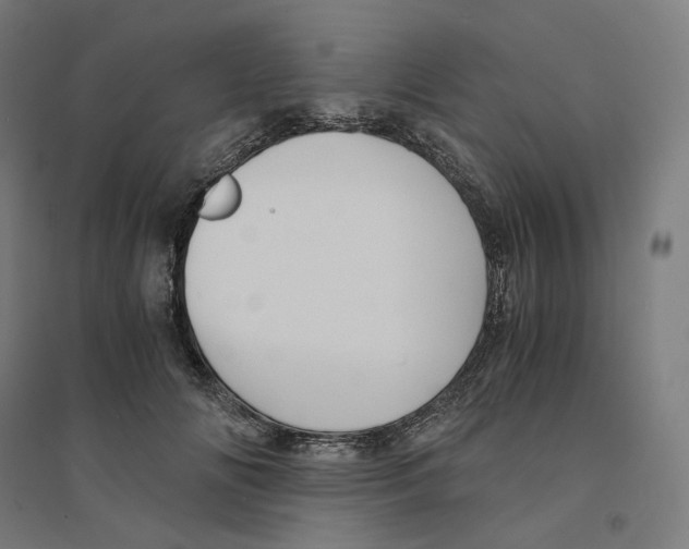 X0000094450702200712061200