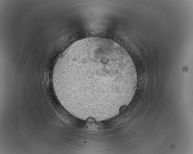 X0000094450703200712061200