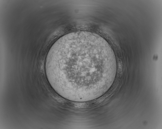 X0000094450705200712061200