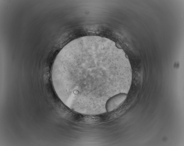 X0000094450707200712061200