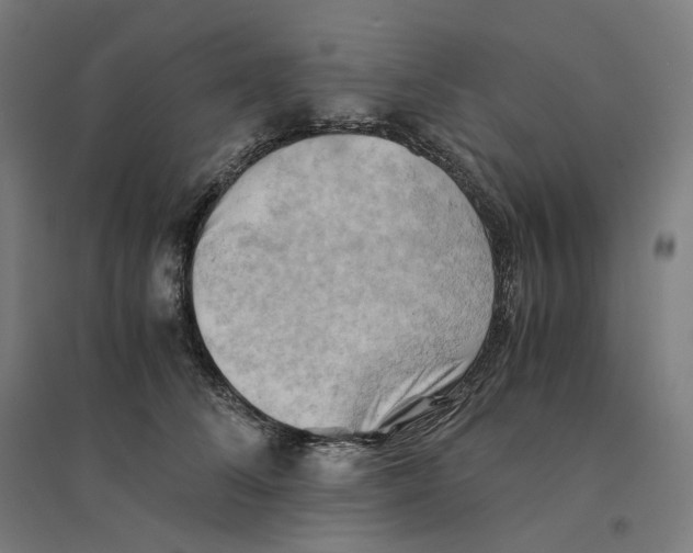 X0000094450708200712061200