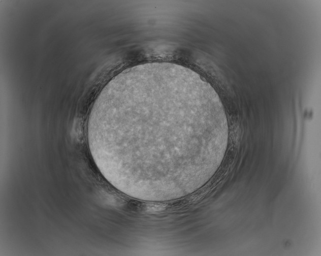 X0000094450709200712061200