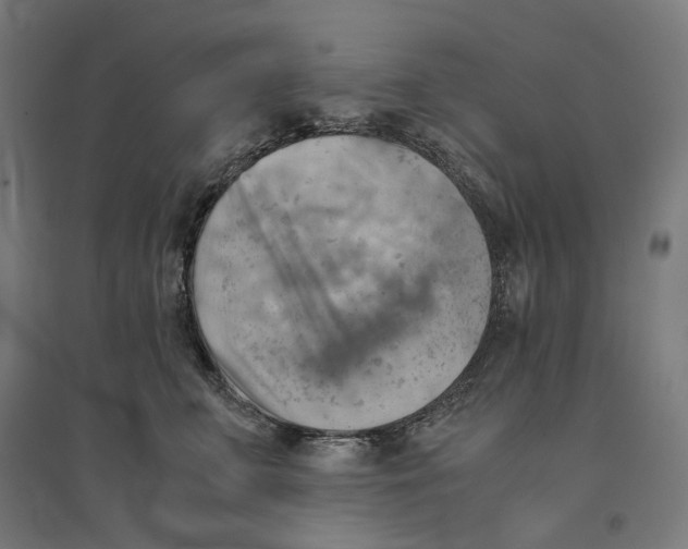 X0000094450711200712061200