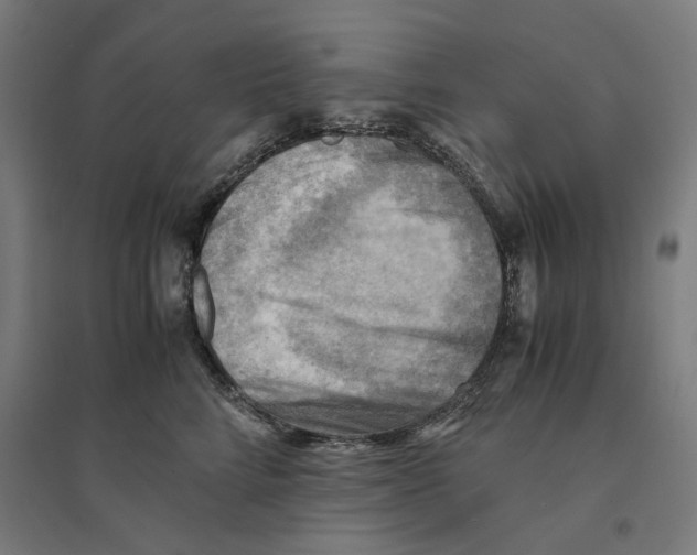 X0000094450712200712061200