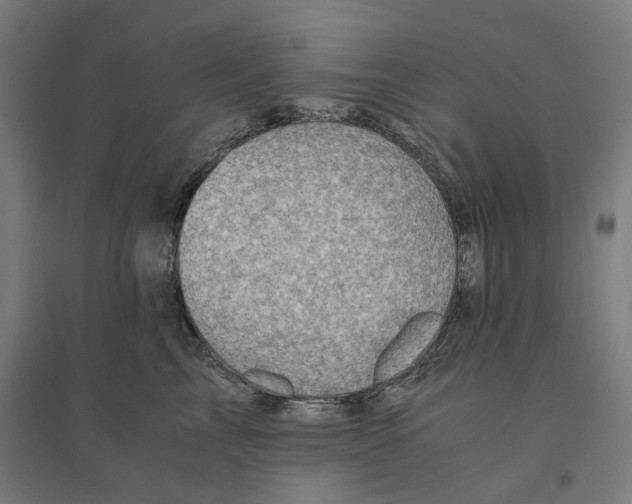 X0000094450713200712061200