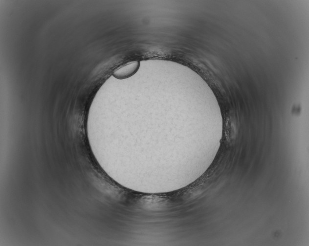 X0000094450714200712061200