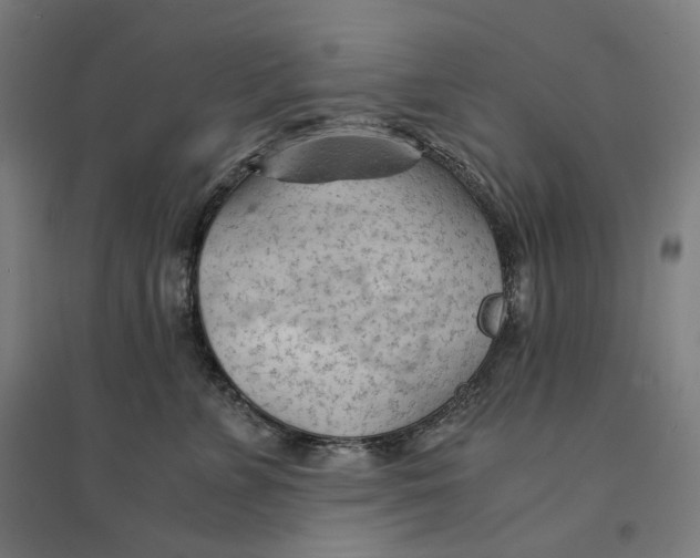 X0000094450715200712061200