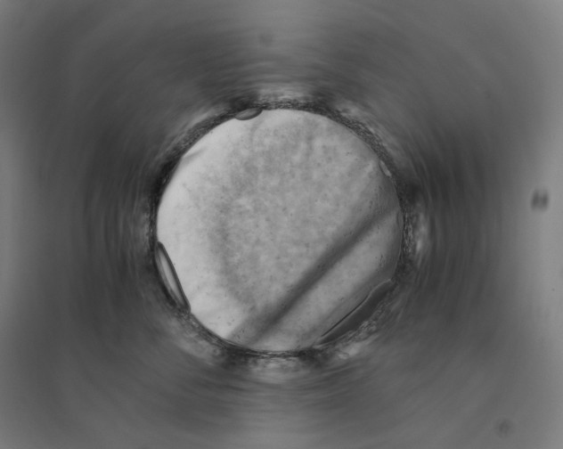 X0000094450716200712061200