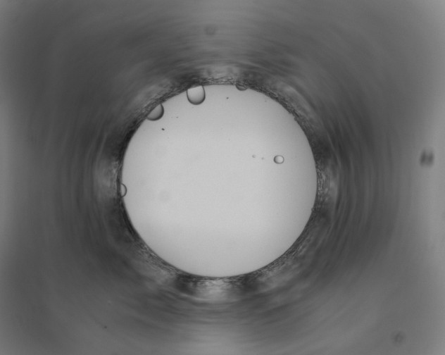 X0000094450717200712061200