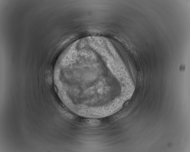 X0000094450719200712061200