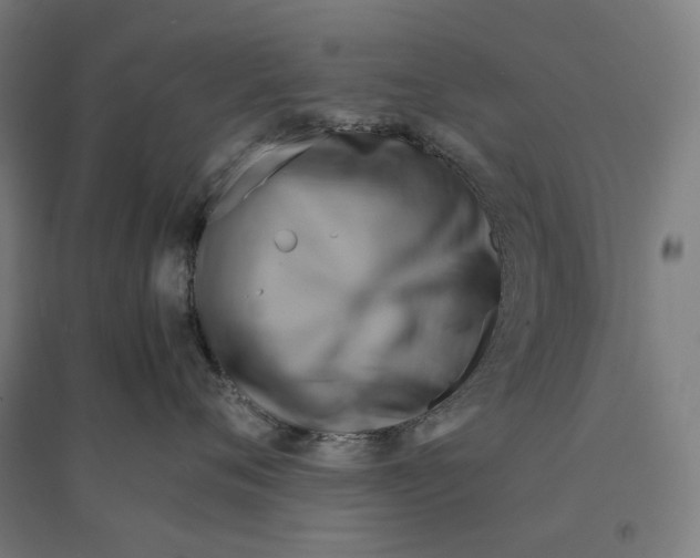 X0000094450720200712061200