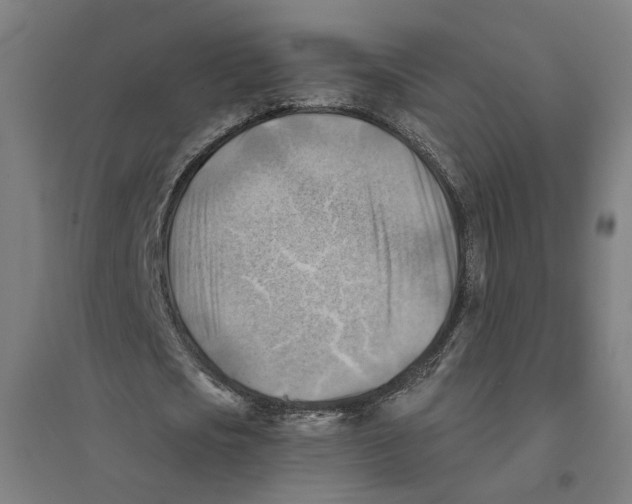 X0000094450721200712061200