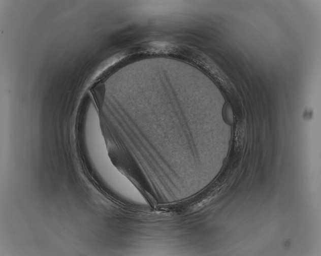 X0000094450722200712061200