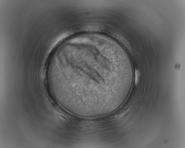 X0000094450723200712061200