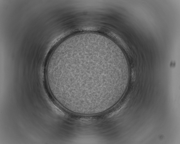 X0000094450725200712061200