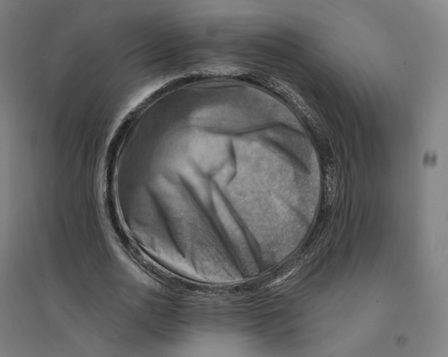 X0000094450726200712061200