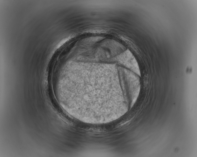 X0000094450727200712061200