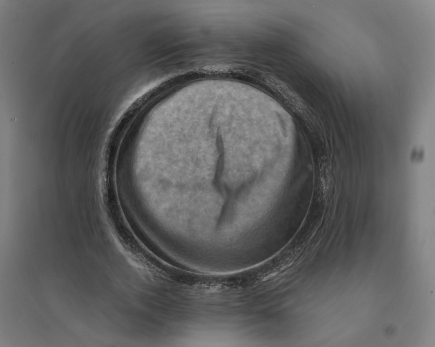 X0000094450728200712061200