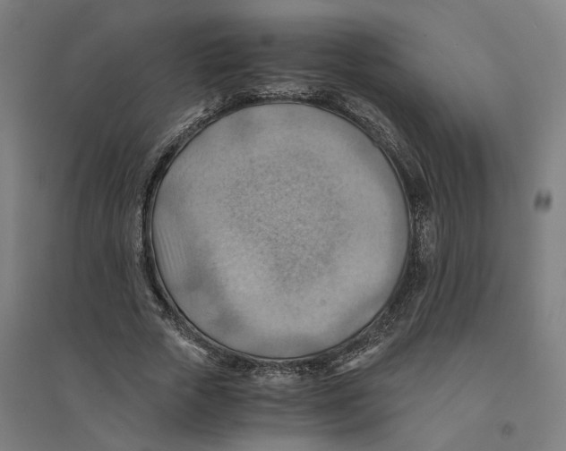 X0000094450729200712061200