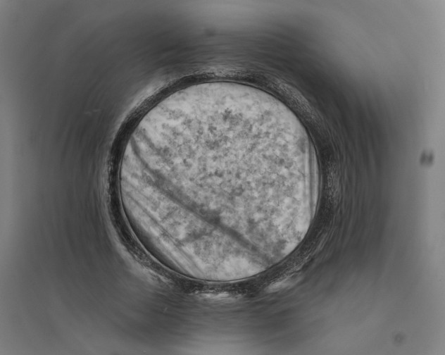 X0000094450730200712061200