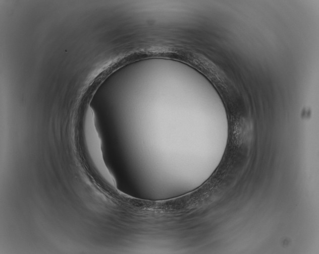 X0000094450732200712061200