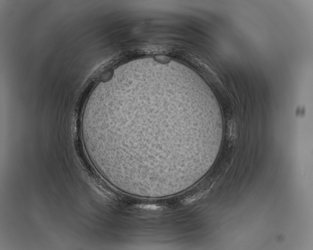 X0000094450733200712061200