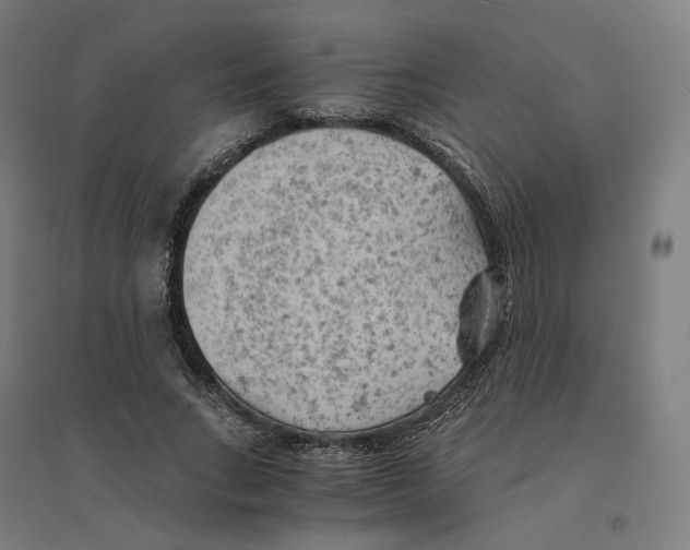 X0000094450735200712061200