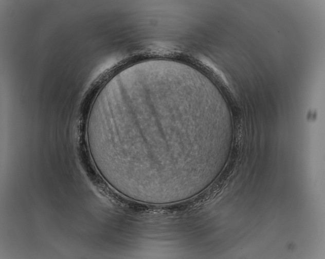 X0000094450736200712061200