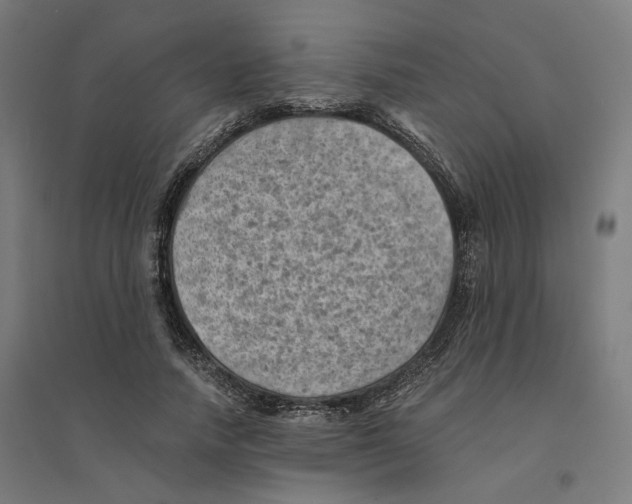 X0000094450738200712061200