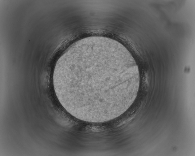 X0000094450739200712061200