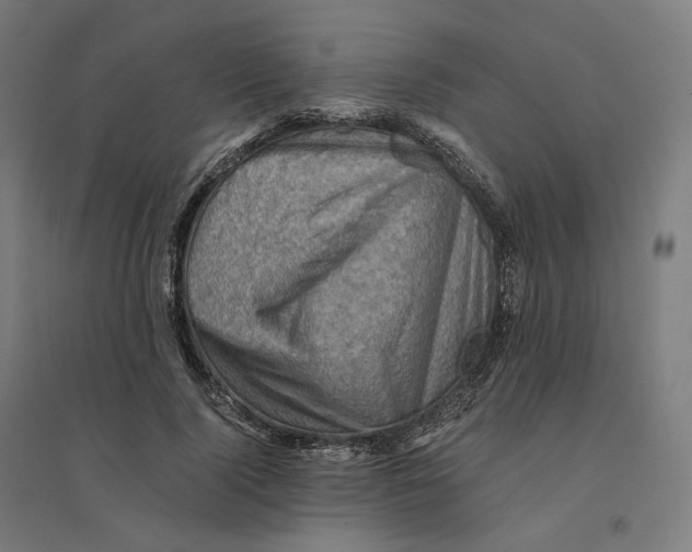 X0000094450740200712061200